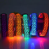 Safety Pet Collar With LED And Printed Design By I Love Dogs Society