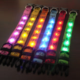 Safety Pet Collar With LED And Printed Design By I Love Dogs Society