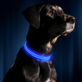 Safety Glowing Pet Collar With LED By Project Pet Lovers Club